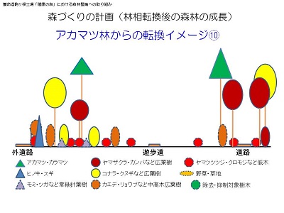 20160420_16-@森づくりの計画-10（林相転換後の森林の成長）.jpg
