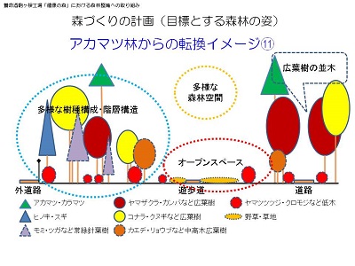 20160420_31-@森づくりの計画-11（目標とする森林の姿）.jpg