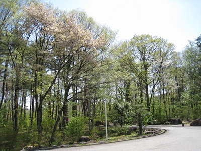 20160427_02.JPG