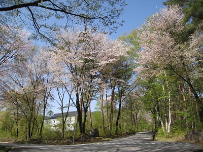 20160427_03.JPG