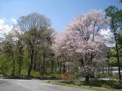 20160427_04.JPG