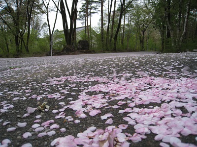 20160427_06.JPG