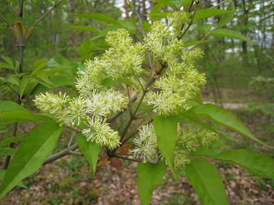 20160427_11.JPG