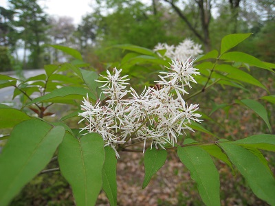 20160427_12.JPG