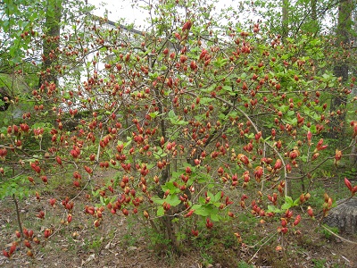 20160427_31.JPG