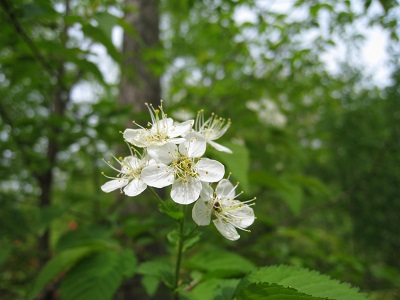 20160506_01.JPG