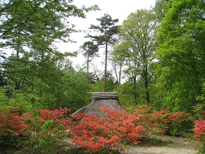 20160509_01.JPG