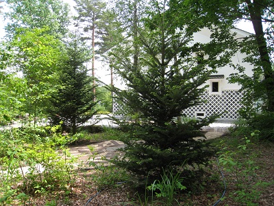 20160609_21.JPG