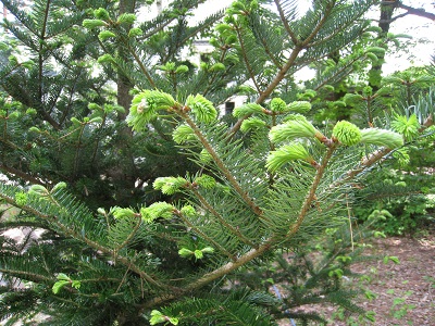 20160609_22.JPG