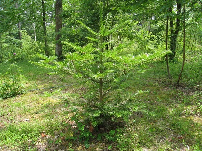 20160609_23.JPG