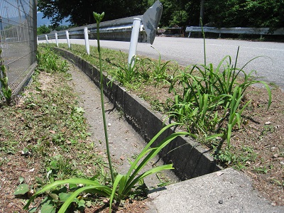20160618_24.JPG