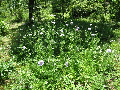20160712_55.JPG