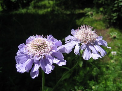 20160712_56.JPG