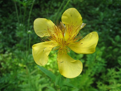 20160712_63.JPG