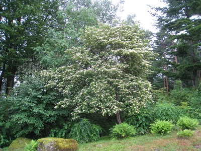 20160720_02.JPG