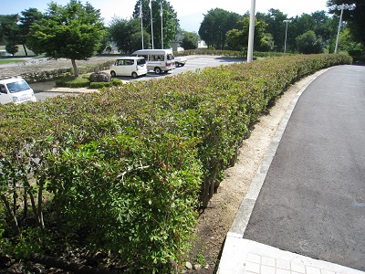 20160720_11.JPG