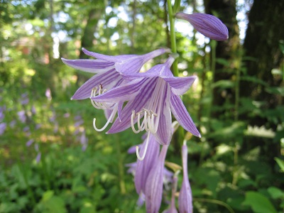 20160809_02.JPG