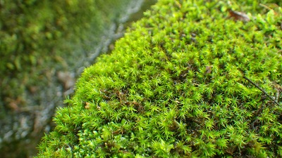 20160913_01.JPG