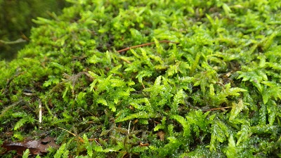 20160913_02.JPG