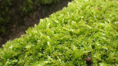 20160913_03.JPG