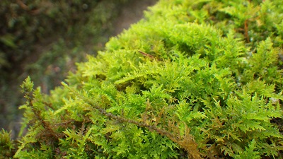 20160913_04.JPG