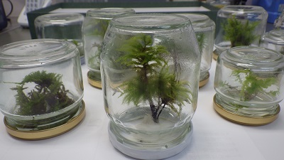 20160913_06.JPG