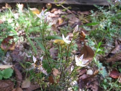 20161003_01.JPG