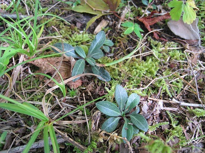 20161003_02.JPG