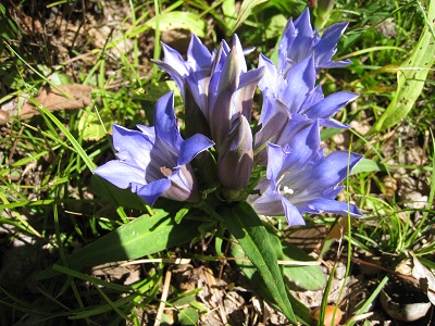20161003_03.JPG