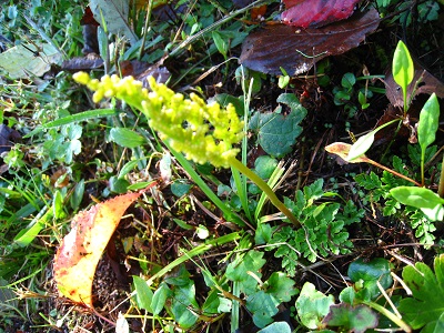 20161013_12.JPG