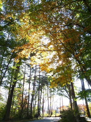 20161104_01-1.JPG