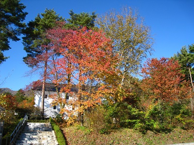 20161104_02.JPG