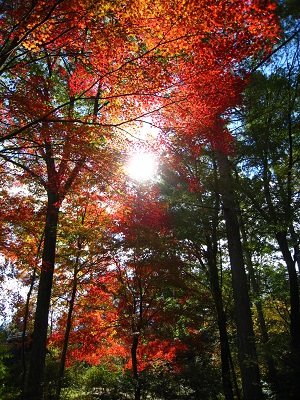 20161104_10.JPG