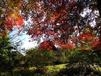 20161104_11.JPG