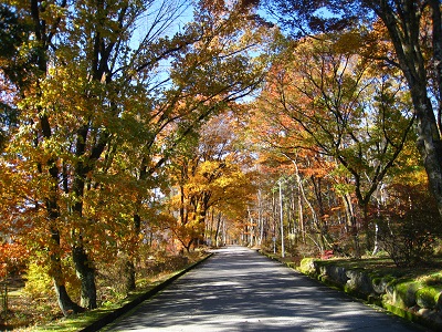 20161116_01.JPG