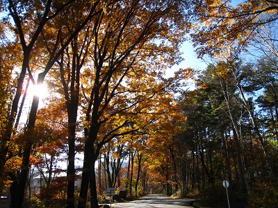 20161116_02.JPG