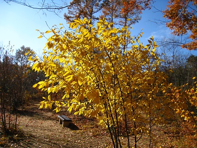 20161116_05.JPG