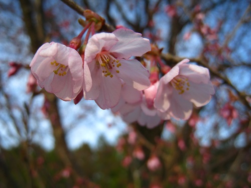 2017.04.14-02.JPG