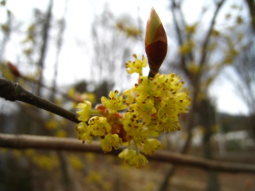 20170411_06.JPG