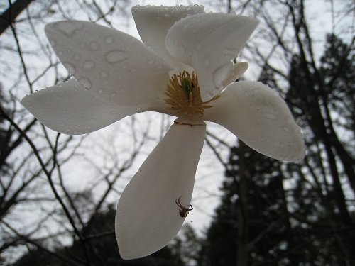 20170418_22.JPG