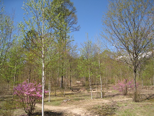20170428_01.JPG