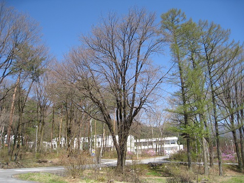 20170428_02.JPG