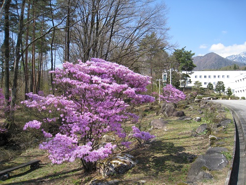 20170428_11.JPG