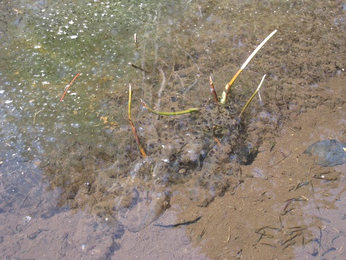 20170428_22.JPG