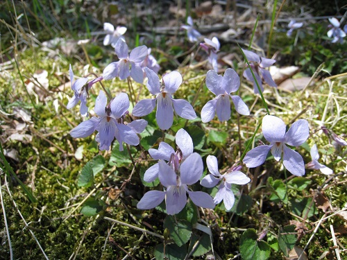 20170428_44.JPG