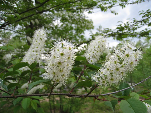 20170512_12.JPG