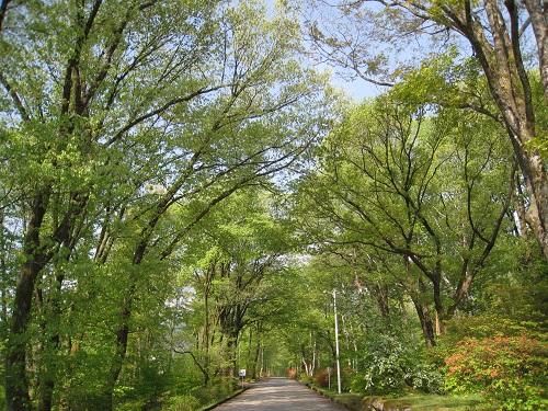 20170512_21.JPG