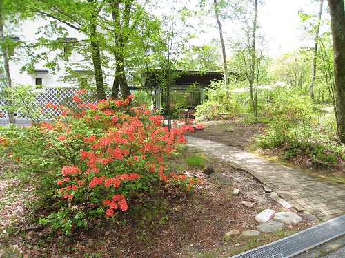 20170512_23.JPG
