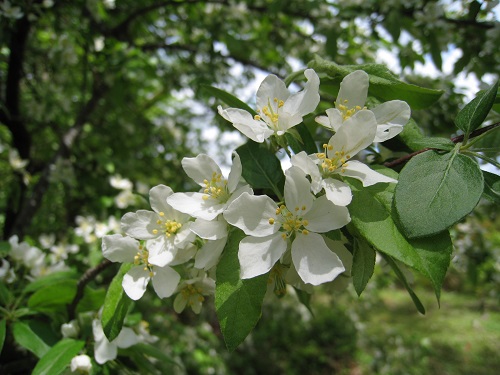 20170514_23.JPG