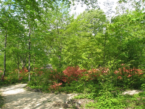 20170519_01.JPG